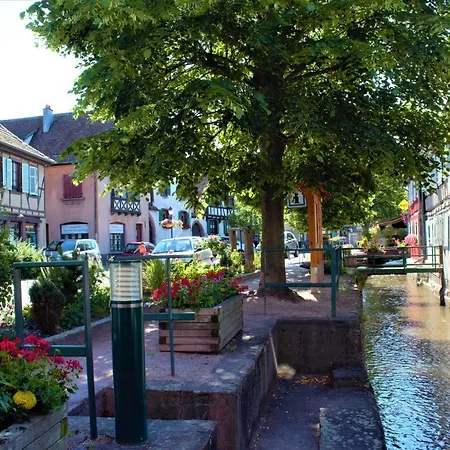 Appartement La Halte des Vignes - Route des vins d'Alsace à Scherwiller Extérieur photo