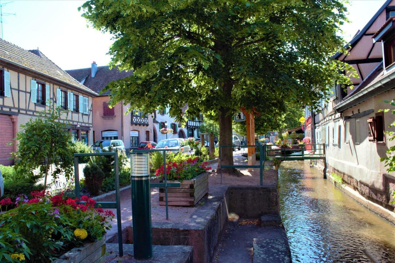 La Halte Des Vignes - Route Des Vins D'alsace Apartment