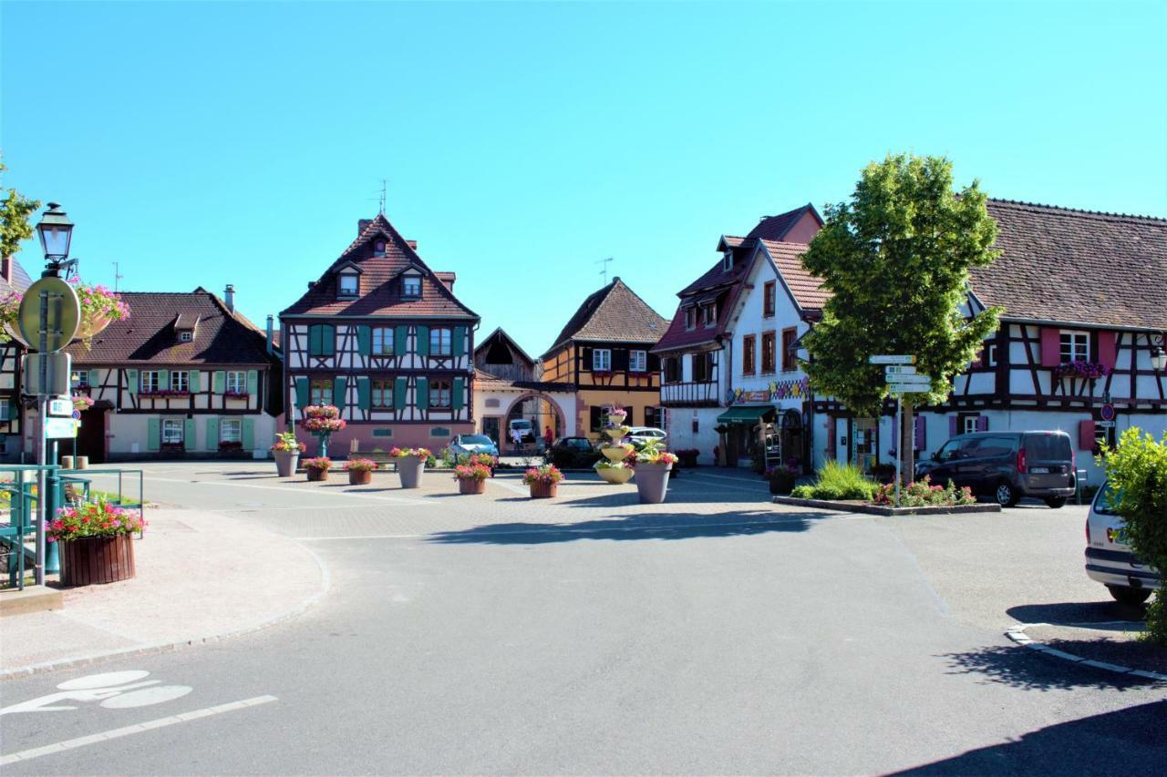 La Halte Des Vignes - Route Des Vins D'alsace Apartment *