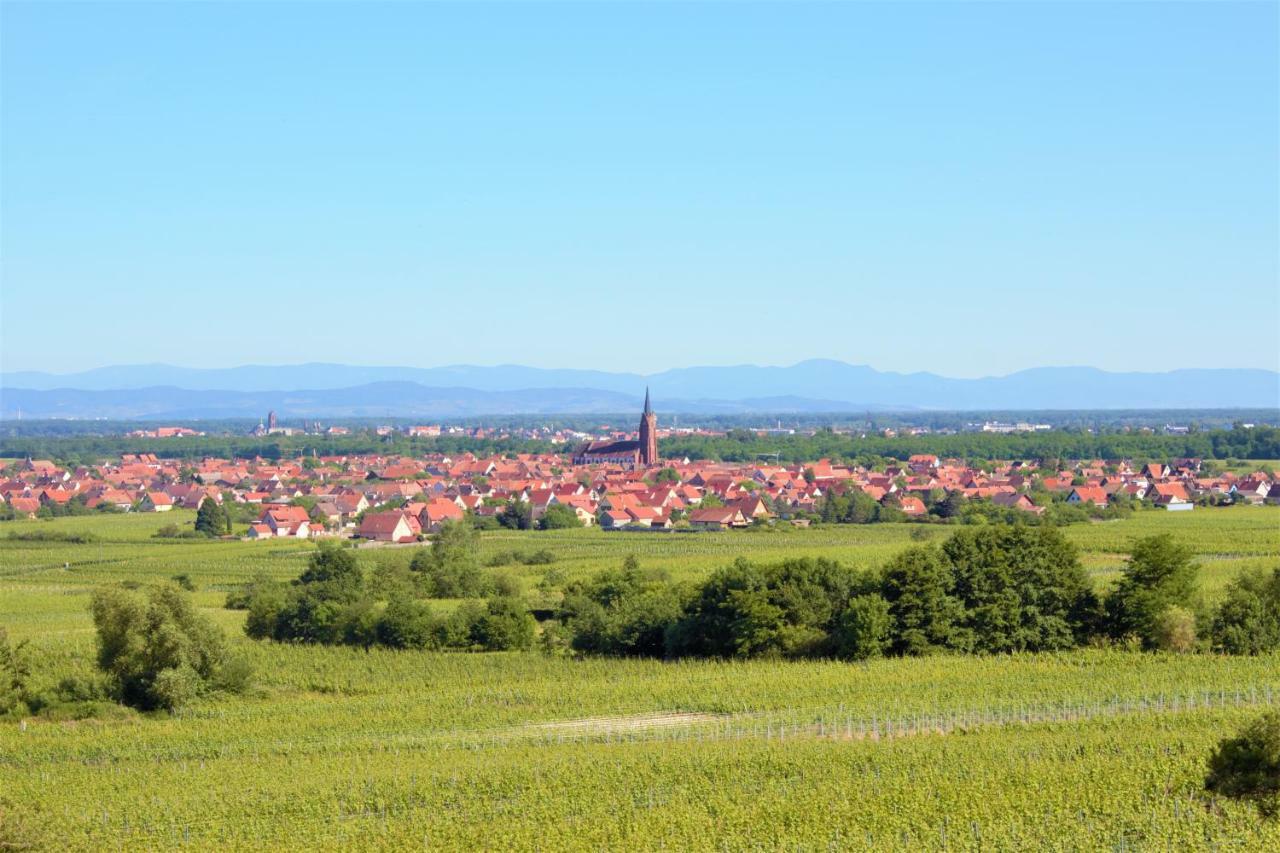 La Halte Des Vignes - Route Des Vins D'alsace * Scherwiller