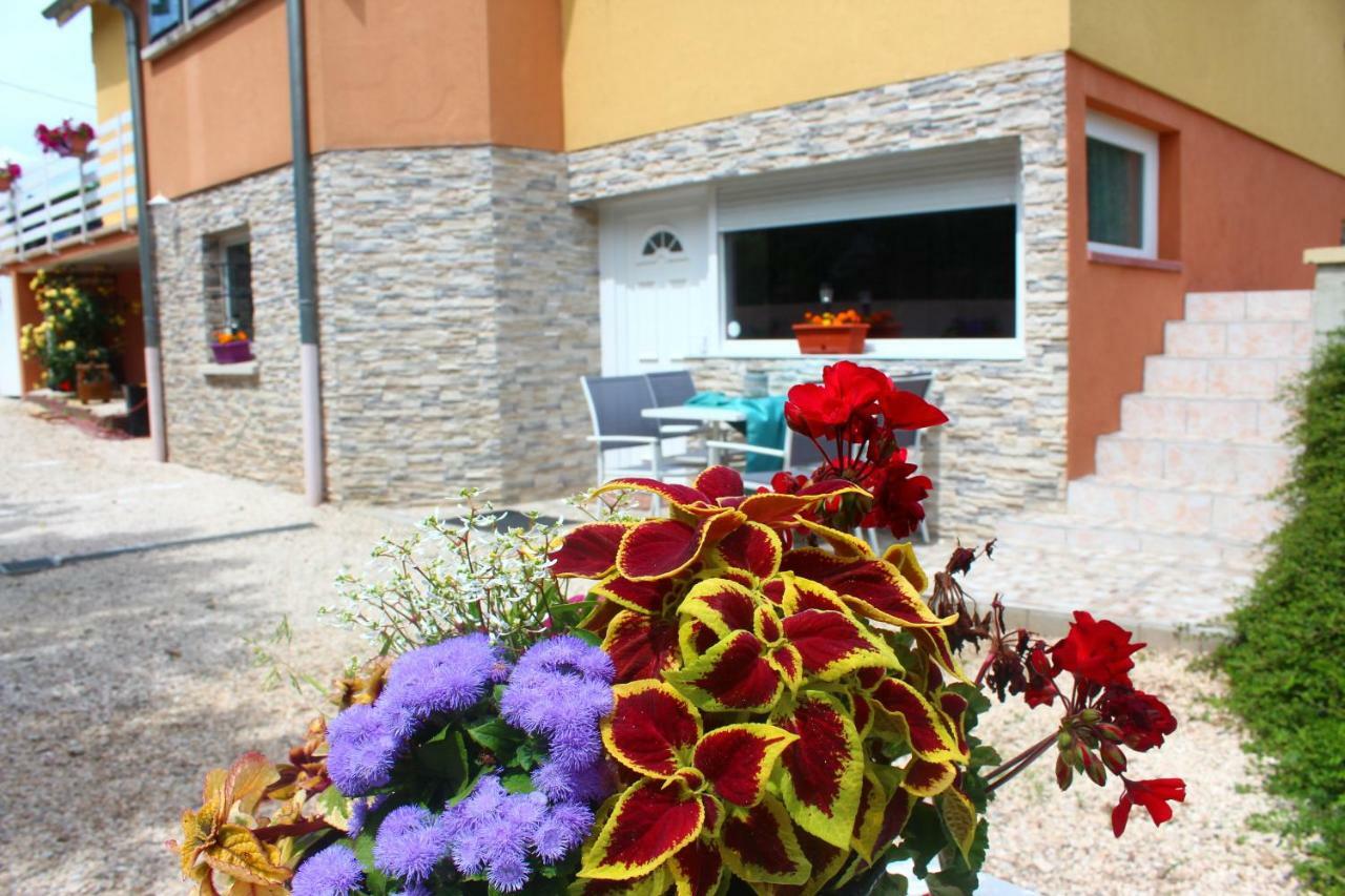 La Halte Des Vignes - Route Des Vins D'alsace Apartment *
